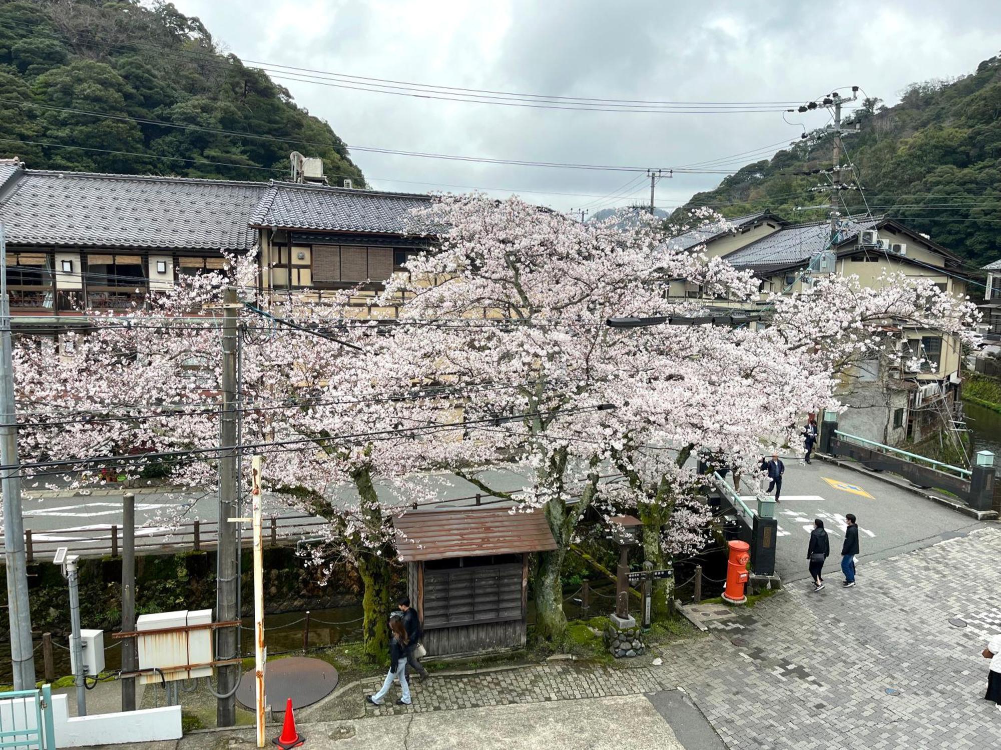城崎温泉一棟貸し　旅宿yadokari Тоёока Экстерьер фото