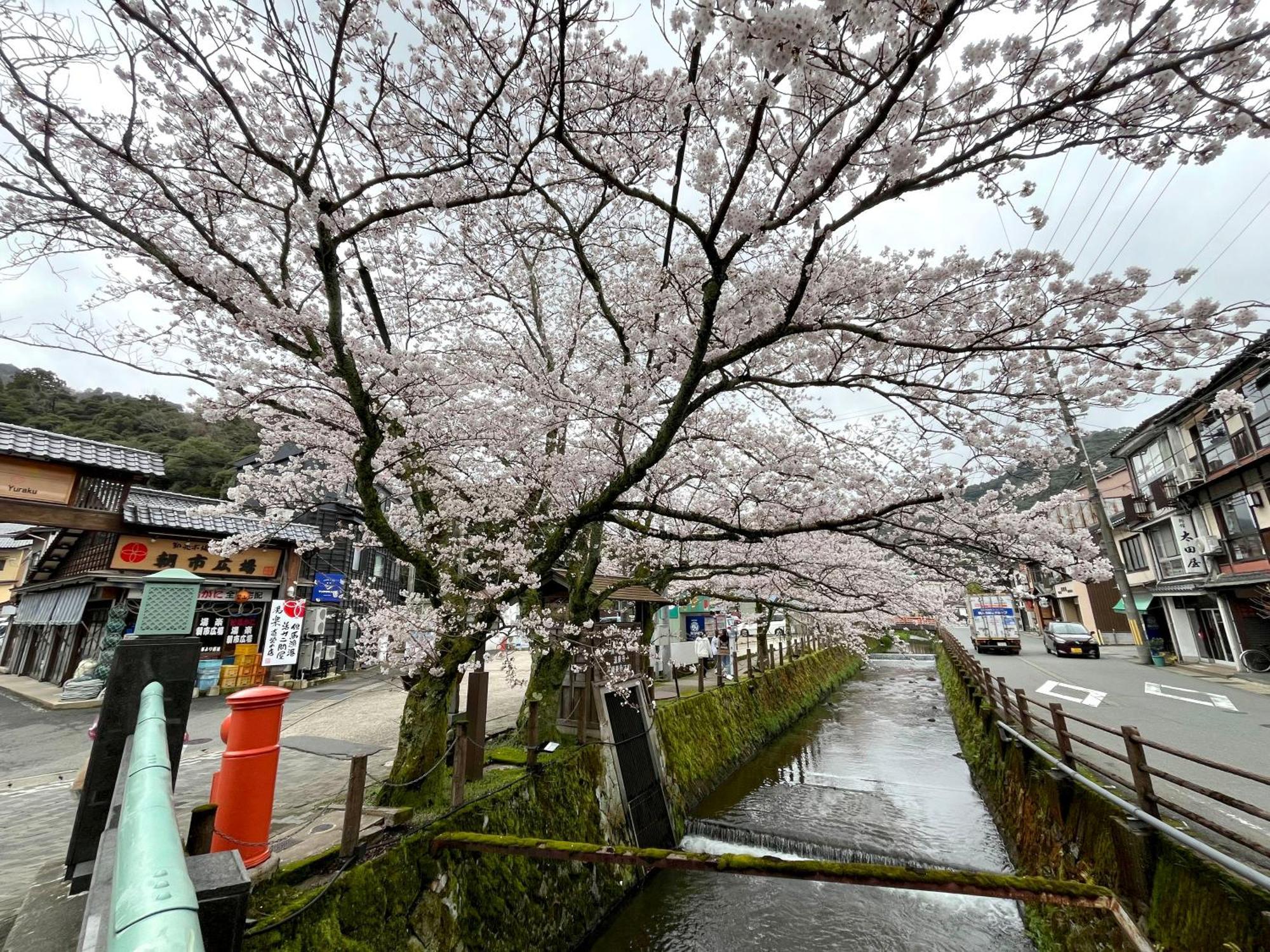 城崎温泉一棟貸し　旅宿yadokari Тоёока Экстерьер фото